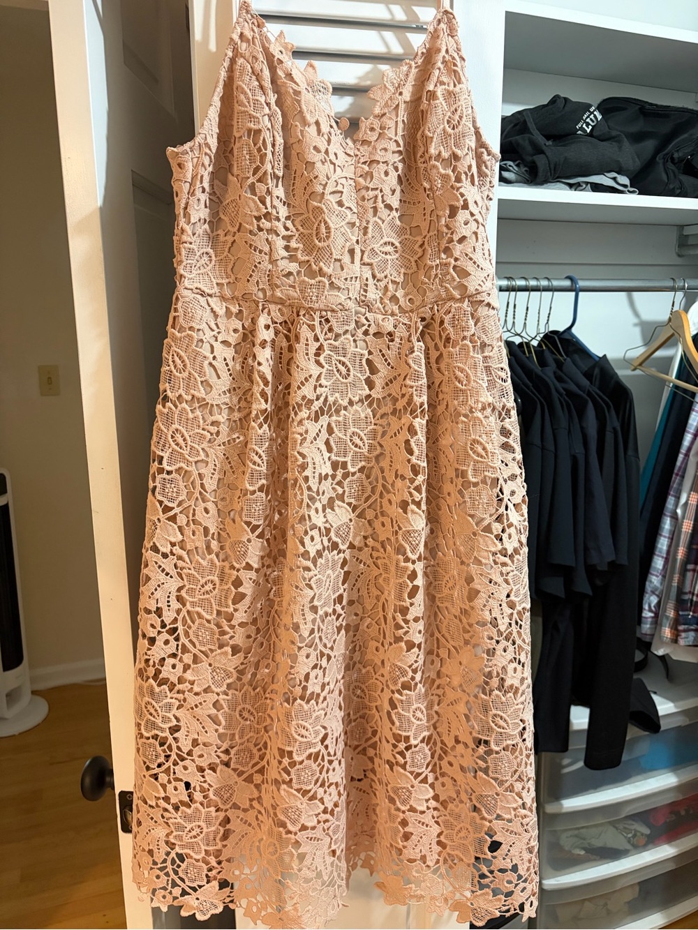 Astr Blush Floral Lace Midi Dress